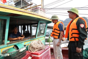 Tiếp tục bắt giữ tàu cá neo đậu trái phép trên vịnh Hạ Long 