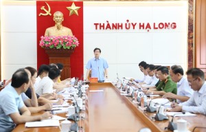 BTV Thành ủy nghe và cho ý kiến vào các nội dung theo thẩm quyền